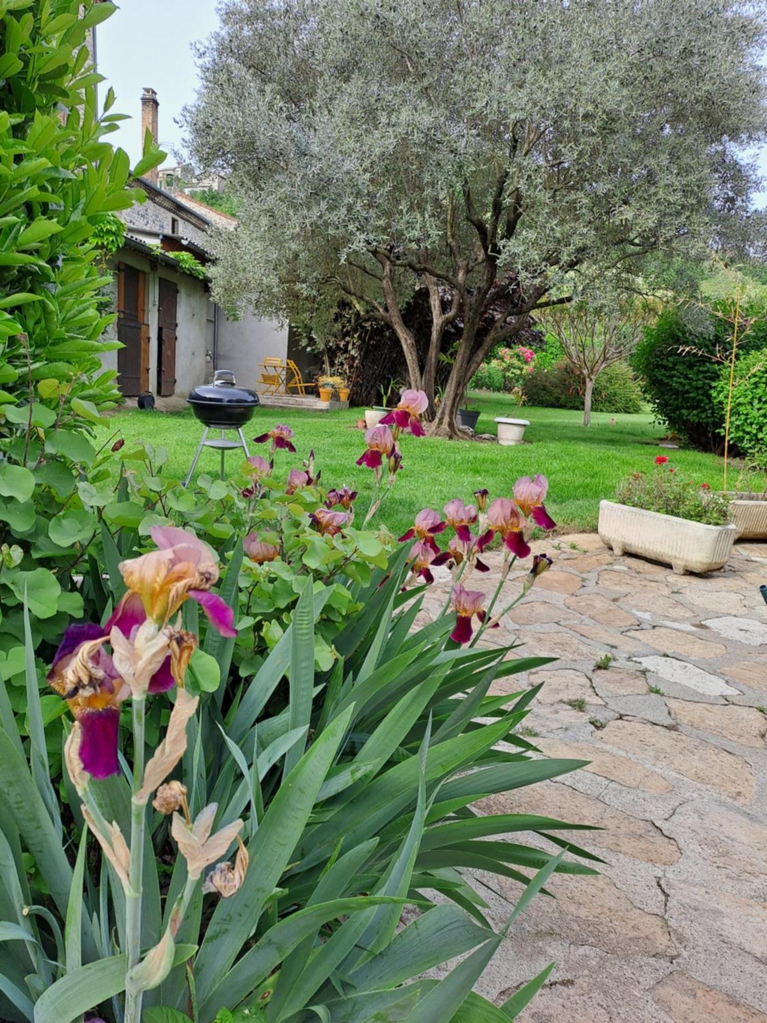 Gite 3 "Le Canal De Baza" Aux Magnolias Aubenas Exterior photo